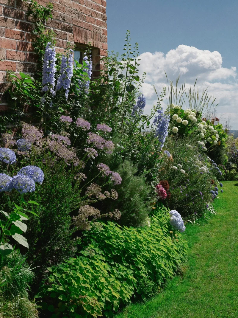 Illustrative deep herbaceous border in summer bloom beside an old brick wall